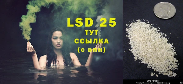 стафф Богданович