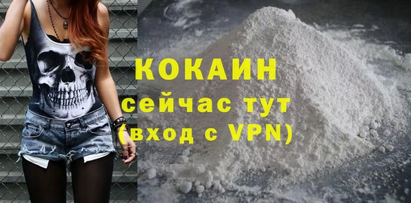стафф Богданович