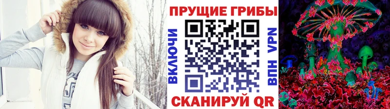 ссылка на мегу ссылки  Донецк  Галлюциногенные грибы MAGIC MUSHROOMS  купить закладку 